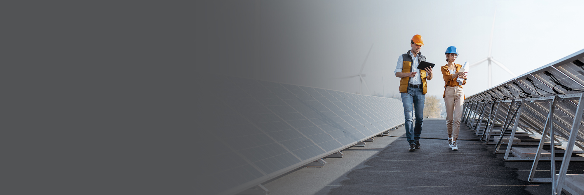 SME Banking: Solar Panels masthead banner